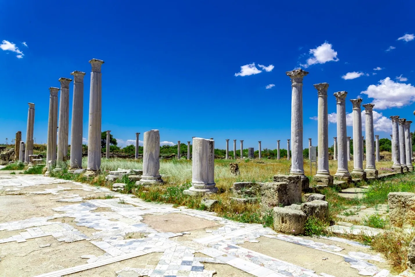 Αρχαία Πόλη Σαλαμίνα